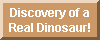 Dino Discovery