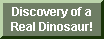 Dino Discovery