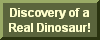 Dino Discovery