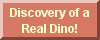 Discovery of Dinosaur!